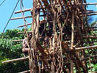 World & Travel: Land diving ritual, Pentecost Island, Vanuatu