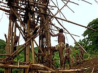 World & Travel: Land diving ritual, Pentecost Island, Vanuatu