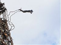 World & Travel: Land diving ritual, Pentecost Island, Vanuatu