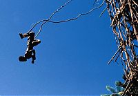 World & Travel: Land diving ritual, Pentecost Island, Vanuatu