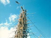 Trek.Today search results: Land diving ritual, Pentecost Island, Vanuatu