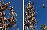 World & Travel: Land diving ritual, Pentecost Island, Vanuatu