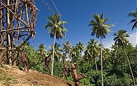 Trek.Today search results: Land diving ritual, Pentecost Island, Vanuatu