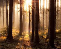 Trek.Today search results: sunlight rays landscape photography