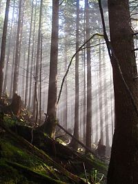 Trek.Today search results: sunlight rays landscape photography