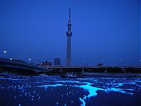 Trek.Today search results: River of light with electronic LED fireflies, Sumida river, Tokyo