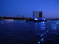 Trek.Today search results: River of light with electronic LED fireflies, Sumida river, Tokyo