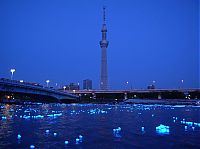 World & Travel: River of light with electronic LED fireflies, Sumida river, Tokyo