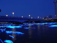 Trek.Today search results: River of light with electronic LED fireflies, Sumida river, Tokyo