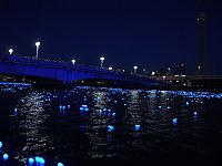 World & Travel: River of light with electronic LED fireflies, Sumida river, Tokyo