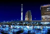 Trek.Today search results: River of light with electronic LED fireflies, Sumida river, Tokyo