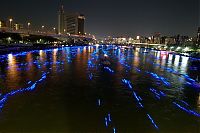 Trek.Today search results: River of light with electronic LED fireflies, Sumida river, Tokyo
