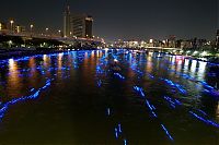 Trek.Today search results: River of light with electronic LED fireflies, Sumida river, Tokyo