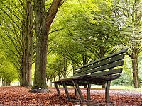 Trek.Today search results: Nature landscapes by Lars Van De Goor