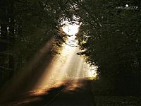 Trek.Today search results: Nature landscapes by Lars Van De Goor