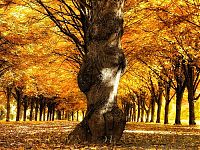 World & Travel: Nature landscapes by Lars Van De Goor