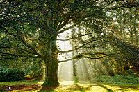 World & Travel: Nature landscapes by Lars Van De Goor