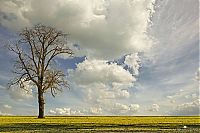 World & Travel: Nature landscapes by Lars Van De Goor