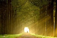 Trek.Today search results: Nature landscapes by Lars Van De Goor