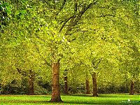 Trek.Today search results: Nature landscapes by Lars Van De Goor