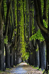 World & Travel: Nature landscapes by Lars Van De Goor