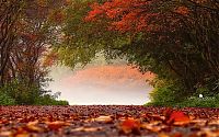 Trek.Today search results: Nature landscapes by Lars Van De Goor