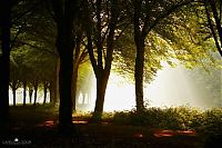 Trek.Today search results: Nature landscapes by Lars Van De Goor