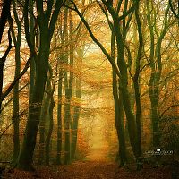 World & Travel: Nature landscapes by Lars Van De Goor