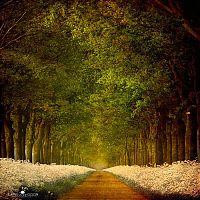 World & Travel: Nature landscapes by Lars Van De Goor