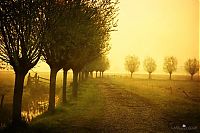 Trek.Today search results: Nature landscapes by Lars Van De Goor