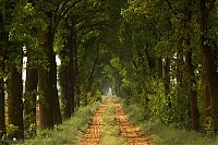 Trek.Today search results: Nature landscapes by Lars Van De Goor