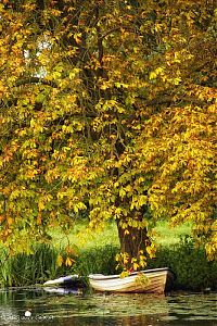 World & Travel: Nature landscapes by Lars Van De Goor