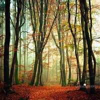 Trek.Today search results: Nature landscapes by Lars Van De Goor