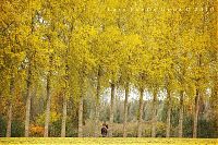 Trek.Today search results: Nature landscapes by Lars Van De Goor