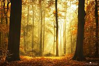 Trek.Today search results: Nature landscapes by Lars Van De Goor