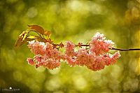 Trek.Today search results: Nature landscapes by Lars Van De Goor