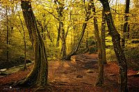 Trek.Today search results: Nature landscapes by Lars Van De Goor