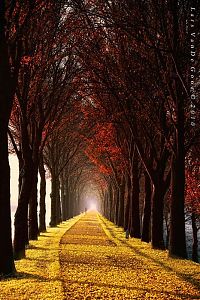 World & Travel: Nature landscapes by Lars Van De Goor