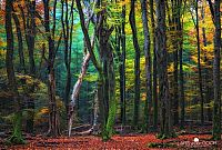 World & Travel: Nature landscapes by Lars Van De Goor