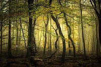 Trek.Today search results: Nature landscapes by Lars Van De Goor