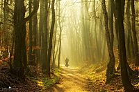 Trek.Today search results: Nature landscapes by Lars Van De Goor