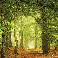 World & Travel: Nature landscapes by Lars Van De Goor