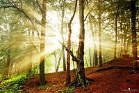 Trek.Today search results: Nature landscapes by Lars Van De Goor