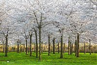 World & Travel: Nature landscapes by Lars Van De Goor