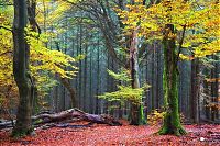 Trek.Today search results: Nature landscapes by Lars Van De Goor