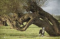 World & Travel: Nature landscapes by Lars Van De Goor