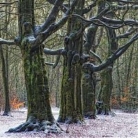 Trek.Today search results: Nature landscapes by Lars Van De Goor