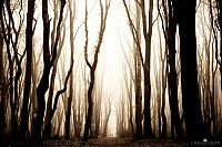 Trek.Today search results: Nature landscapes by Lars Van De Goor