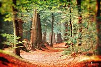 Trek.Today search results: Nature landscapes by Lars Van De Goor