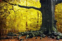 World & Travel: Nature landscapes by Lars Van De Goor